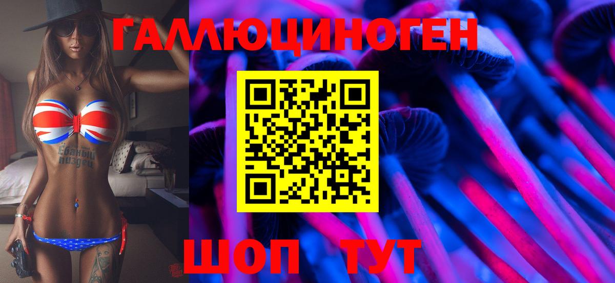 Псилоцибиновые грибы прущие грибы Вольск
